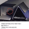 캣맘의 고민