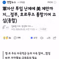 軍자산 투입 난제에 美 제안까지…정부, 호르무즈 통항기여 고심