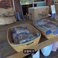 울릉도 물가 근황.jpg