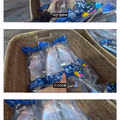 울릉도 오징어 가격