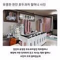 천안 호두과자 할머니 사진의 비밀