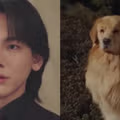 역시 임성한…‘닥터신’ 주인공 강아지 엔딩에 “주신이가 개라니” vs “여운 남아”