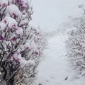 실시간 설악산
