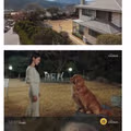 어제 임성한 드라마 결말34