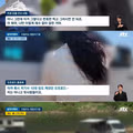 오프로드 동호회 때문에 몰살 위기인 멸종위기 물고기