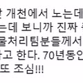 오늘 집앞 개천에서 놀다가 소련제 75mm 폭탄 발견한 아이들 ㄷㄷㄷㄷ
