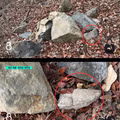 통일신라 시대 유물의 잃어버린 조각을 찾은 대학생