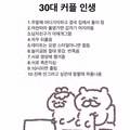 현실적인 30대 커플 특징66