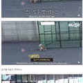 세상에서 가장 쉬웠다던 강아지 포획