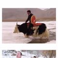 중국 법원은 필드마법임.JPG