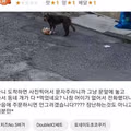 롯데리아 리뷰 레전드