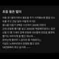 초딩의 용돈벌이