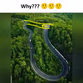 외국에서 유행했던 why 밈 ㅋㅋㅋㅋㅋ
