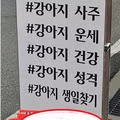 반려동물 사주팔자 봐본 경험 있는 사람