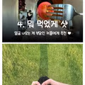 요즘 커플들의 사진 촬영 트렌드