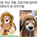 사자가방의 건조 후기.jpg