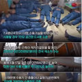 교도소 과밀수용이 문제가 되는 이유와 실태