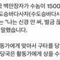 하와이 물범에게 돌을 던진 백만장자.gif