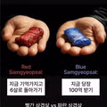 의외로 의견이 팽팽하게 갈리는 선택지