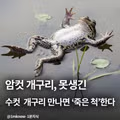 못생긴 수컷을 보면 죽은 척하는 반응