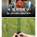 요즘 커플들의 사진 촬영 트렌드