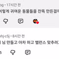 진짜 말 너무 심하네.jpg