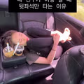 여행 갈 때 뒷좌석만 고집하는 친구