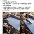 숙성회 판매점 논란의 사진
