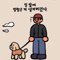 집 앞에 생각지도 못한 것이 생겼다