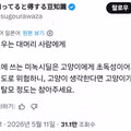 고양이 키우는 탈모인에게