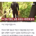 주왕산 실종 초등학생 사망 추정