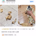 챱츄리버가 반한 명란 소금빵