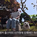 안내견 입장을 거부한 사유지 캠핑장 사건