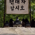 요즘 국내 주식 시장 상황
