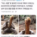 성욕이 넘치는 어르신의 모습