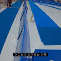도그쇼 협회 관계자의 충격적인 발언