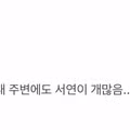 요즘 심하다는 서연탈트 붕괴 현상