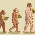 요즘 교과서에서 사라진 인류의 진화 과정 그림