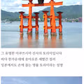 사슴강도단이 서식하는 굴단풍섬