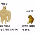 한여름 샤워 후 느껴지는 공통적인 특징