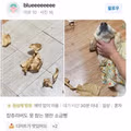 명란 소금빵 시식 후기