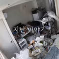 치운 지 4개월이 지난 쓰레기집의 현재 모습