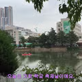 친구 없이 혼자 축제를 즐기는 누나의 근황