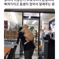 삐진 강아지를 달래주는 방법