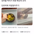 달팽이조차 좋아하는 한국인의 소울푸드