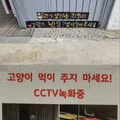 어린이집에 무단 침입한 정체불명의 방문객