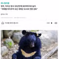 지리산 반달곰 복원 단계를 넘어 공존하는 방법 찾기