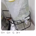 레몬물 디스펜서에 얼음 넣으라고 했더니 벌어진 일