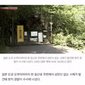日 도쿄 오쿠타마마치서 상반신 없는 시체 발견…곰 습격 가능성