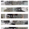 아내의 궁금증
